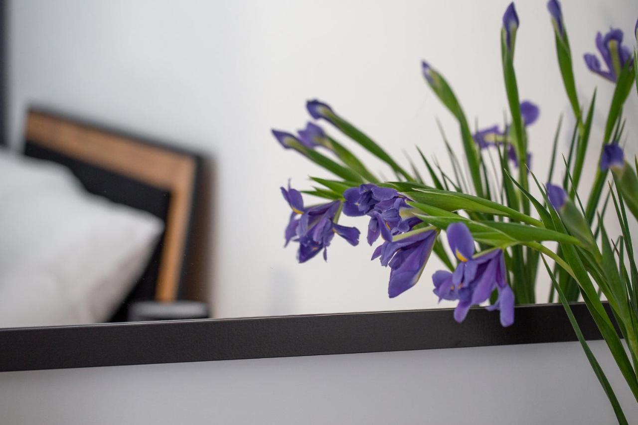 Apartament Ksiezycowy - Mlyn Maria - Art Apartments Wroclaw Dış mekan fotoğraf